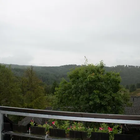 Neuastenberg * Winterberg